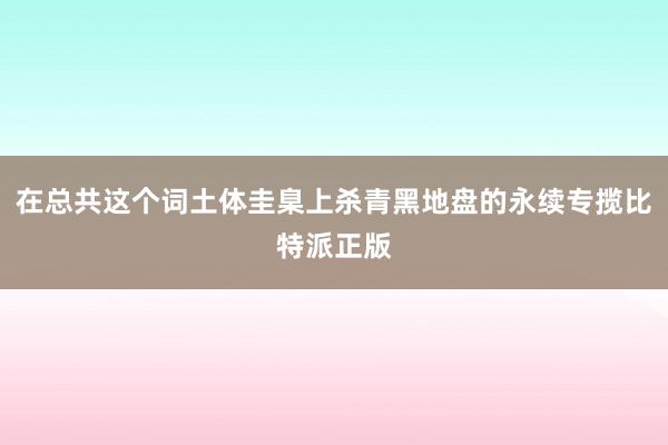 在总共这个词土体圭臬上杀青黑地盘的永续专揽比特派正版