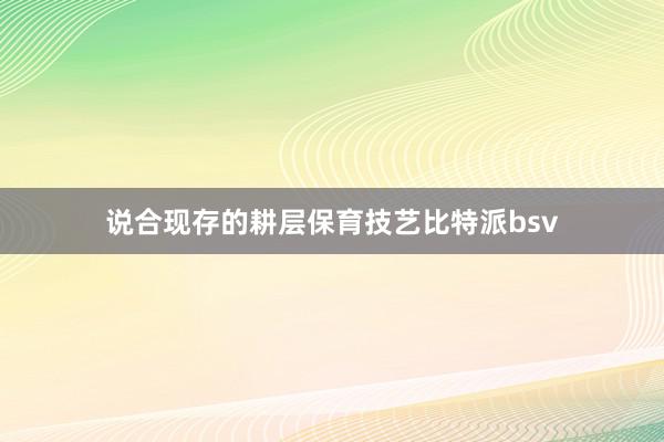 说合现存的耕层保育技艺比特派bsv