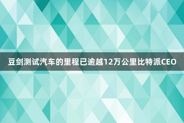 豆剑测试汽车的里程已逾越12万公里比特派CEO