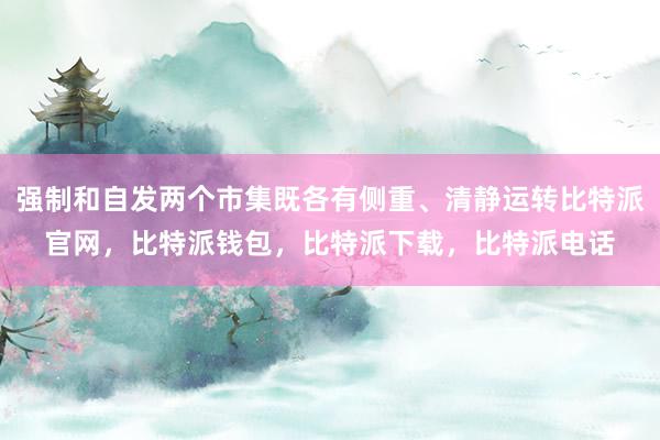 强制和自发两个市集既各有侧重、清静运转比特派官网，比特派钱包，比特派下载，比特派电话