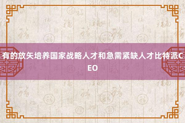 有的放矢培养国家战略人才和急需紧缺人才比特派CEO