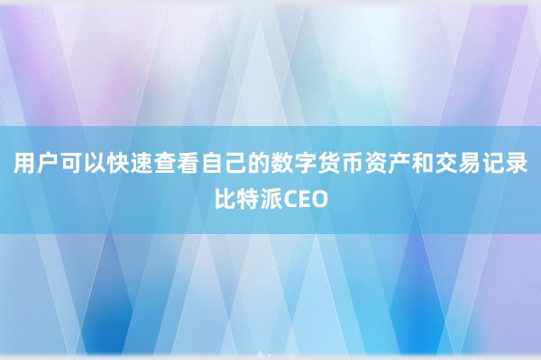 用户可以快速查看自己的数字货币资产和交易记录比特派CEO