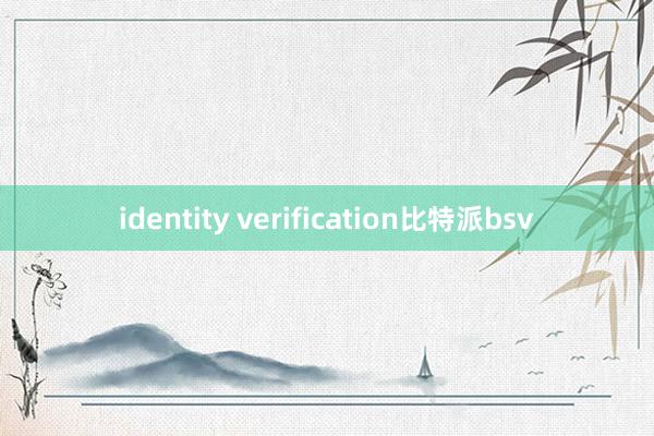 identity verification比特派bsv