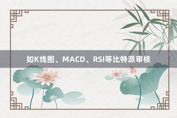 如K线图、MACD、RSI等比特派审核