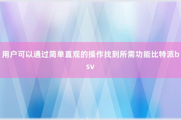 用户可以通过简单直观的操作找到所需功能比特派bsv