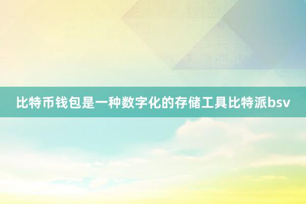 比特币钱包是一种数字化的存储工具比特派bsv