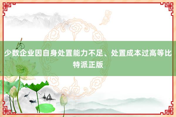 少数企业因自身处置能力不足、处置成本过高等比特派正版