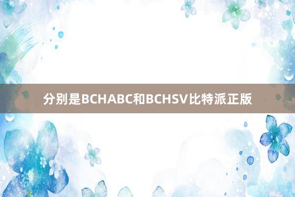 分别是BCHABC和BCHSV比特派正版