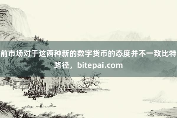 目前市场对于这两种新的数字货币的态度并不一致比特派路径，bitepai.com