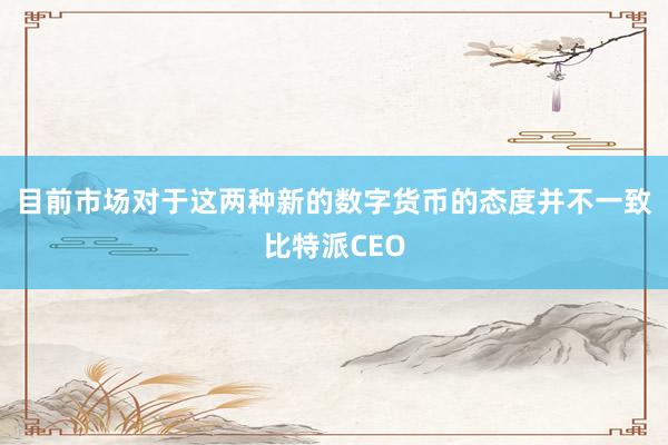 目前市场对于这两种新的数字货币的态度并不一致比特派CEO