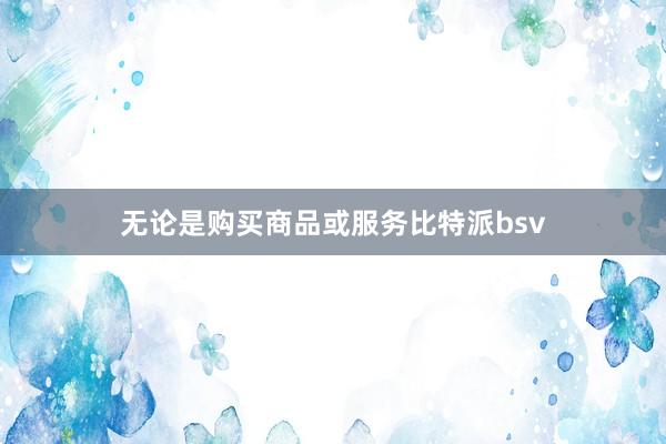 无论是购买商品或服务比特派bsv