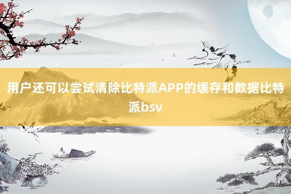 用户还可以尝试清除比特派APP的缓存和数据比特派bsv