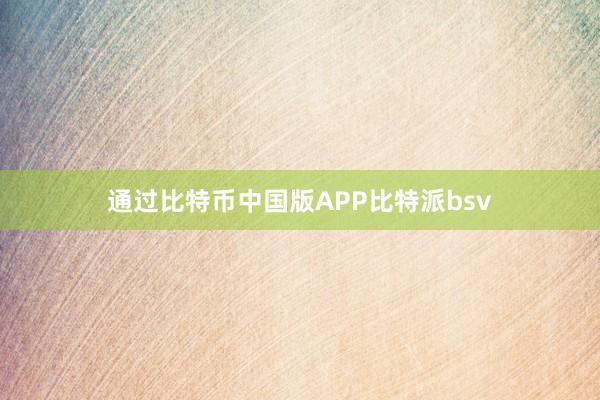 通过比特币中国版APP比特派bsv