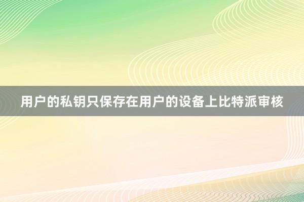 用户的私钥只保存在用户的设备上比特派审核