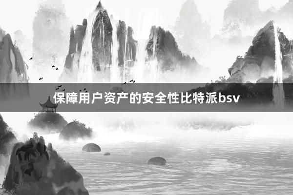 保障用户资产的安全性比特派bsv