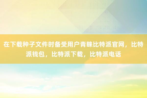 在下载种子文件时备受用户青睐比特派官网，比特派钱包，比特派下载，比特派电话