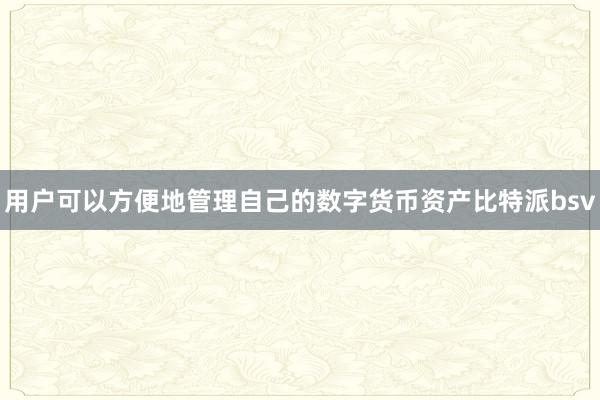 用户可以方便地管理自己的数字货币资产比特派bsv