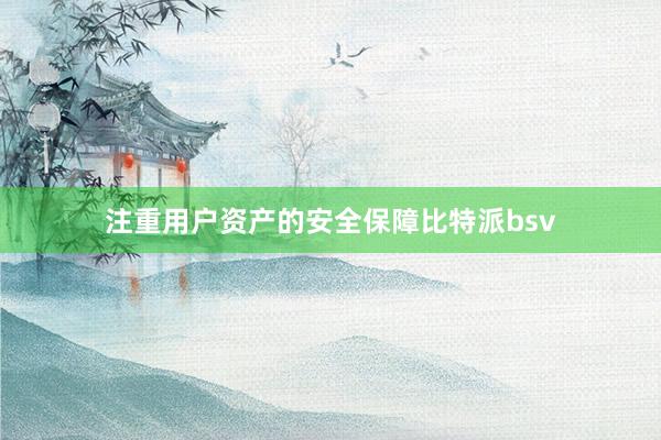 注重用户资产的安全保障比特派bsv