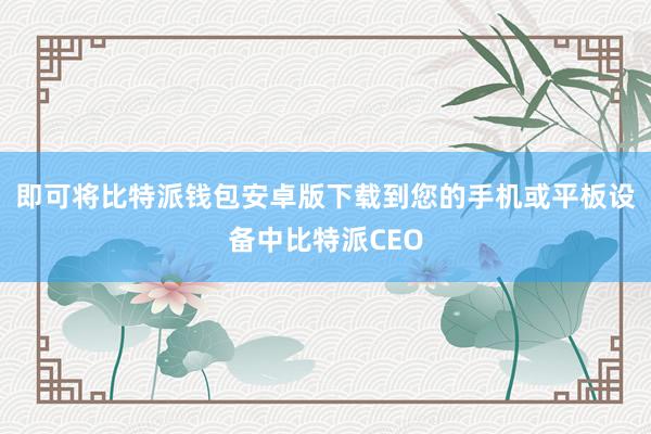 即可将比特派钱包安卓版下载到您的手机或平板设备中比特派CEO