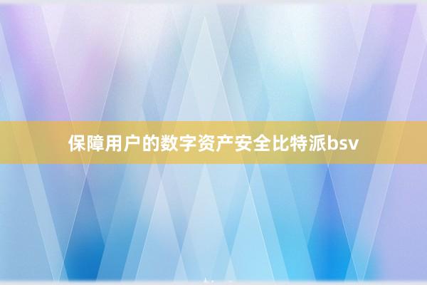 保障用户的数字资产安全比特派bsv