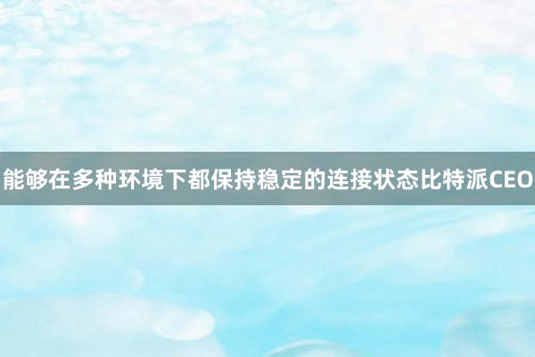 能够在多种环境下都保持稳定的连接状态比特派CEO