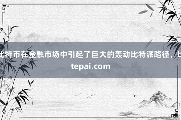 比特币在金融市场中引起了巨大的轰动比特派路径，bitepai.com