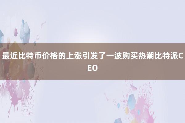 最近比特币价格的上涨引发了一波购买热潮比特派CEO