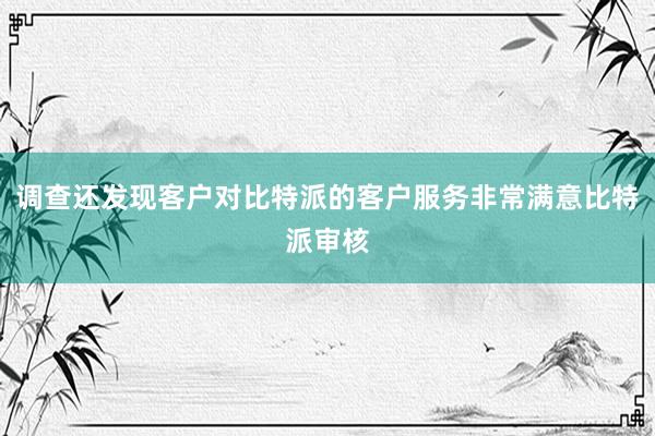 调查还发现客户对比特派的客户服务非常满意比特派审核