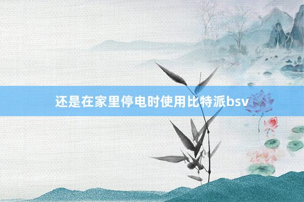 还是在家里停电时使用比特派bsv