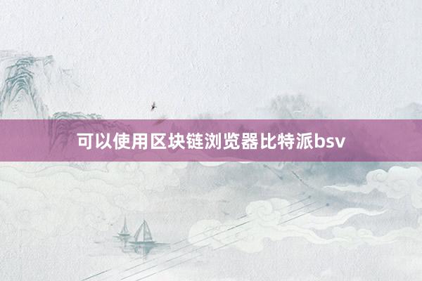 可以使用区块链浏览器比特派bsv