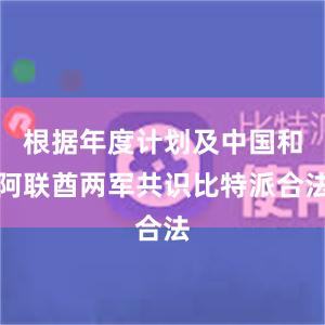 根据年度计划及中国和阿联酋两军共识比特派合法