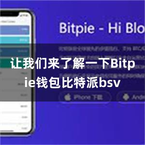 让我们来了解一下Bitpie钱包比特派bsv