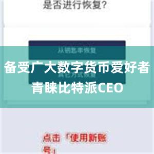 备受广大数字货币爱好者青睐比特派CEO