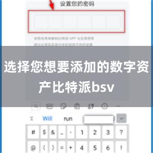选择您想要添加的数字资产比特派bsv