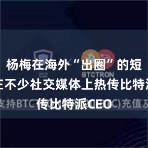 杨梅在海外“出圈”的短视频在不少社交媒体上热传比特派CEO