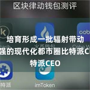 培育形成一批辐射带动力强的现代化都市圈比特派CEO