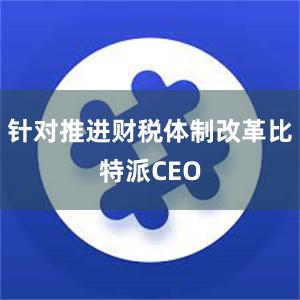 针对推进财税体制改革比特派CEO