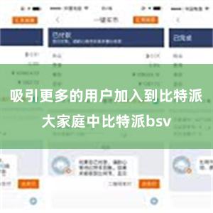 吸引更多的用户加入到比特派大家庭中比特派bsv