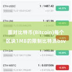 面对比特币(Bitcoin)每个区块1MB的限制比特派bsv