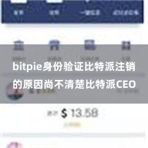 bitpie身份验证比特派注销的原因尚不清楚比特派CEO