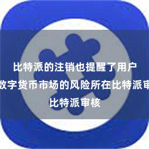 比特派的注销也提醒了用户们数字货币市场的风险所在比特派审核